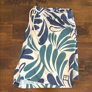Men's Blue and Green Swim Shorts